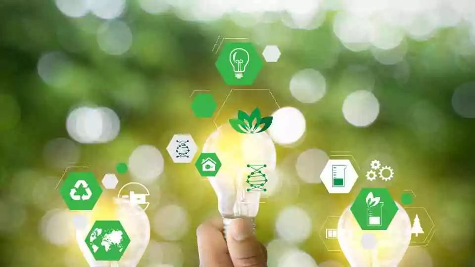 Responsabilidad social y ambiental